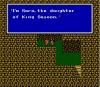  final_fantasy_iii_3_NES_screenshot_41.jpg 