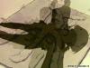  PDVD_069.BMP.jpg 