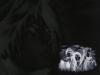 final_fantasy_VIII_8_wallpaper_800_8w37.jpg 
