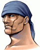 final_fantasy_VIII_8_artwork_ward.gif 