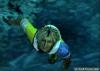  ffx-2-202.jpg 