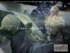 final_fantasy_advent_children_ffac_wallpaper_800_ff72-20.jpg 